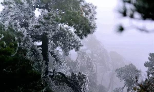 小猫钓鱼游戏龙王版有船