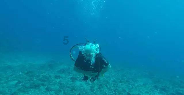 怎么快速增肥?-知识星球平台,为你贡献无限知识